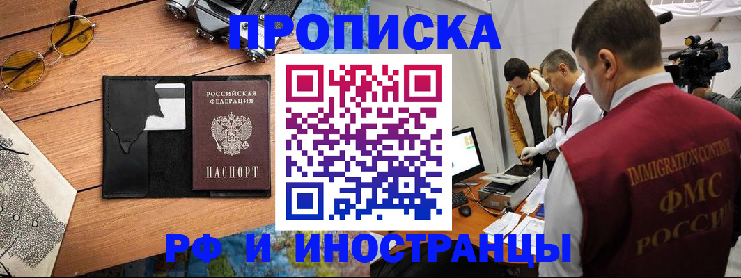 прописка поиск в Купино